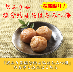 フリーズドライ梅肉 さまざまなお料理や非常食に 紀州南高梅肉