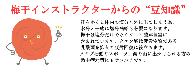 梅干インストラクター