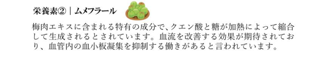 梅エキスについて2