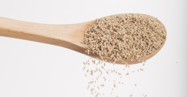 かつおだしの素