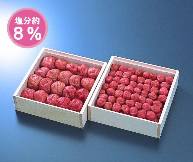 梅の年輪セット