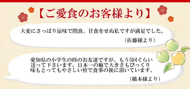 お客様の声